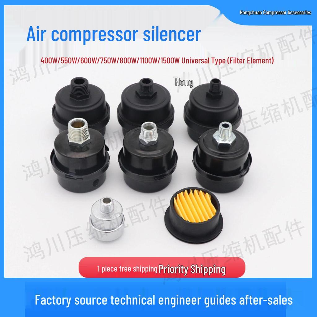 Oil-Free Air Compressor Kit: Direct-Coupled Pump, Silencer Muffler, Air Filter & Element.