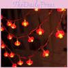 Led Character Lucky String Lights Home Decoration Small Red Lanterns Holiday For