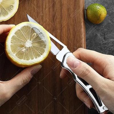 Stainless Steel Folding Pocket Knife Fruit Knife Multifunctional Meat Cutting for Easy Carrying Kitchen Knives Steel Handle