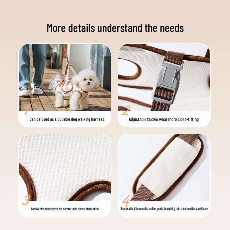 Breathable Outdoor Backpack with Leash for Small and Medium Dogs