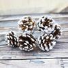 10pcs Christmas DIY Decoration Pine Cone Branches,Brushed White Long Preservation,Suitable for Christmas Tree Decoration Branche