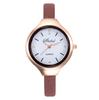 Fashion Casual Ladies Disc Leather Watch Quartz Watch Women Gift Watch