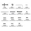 Screw Tool Accessories Box For 1/16 16207 16208 16209 RC Car