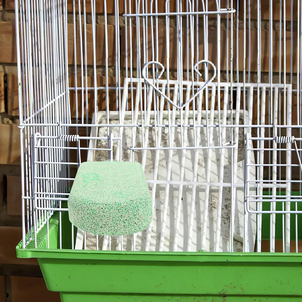 U-Shaped Parrot Stand Perch with Grinding Surface for Beak Wear Reduction Bird Cage Platform Perch for Large Birds Small Pets
