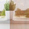 VidaXL Rideaux en voile avec œillets 2 pcs terre cuite, rideau en filet, rideau transparent, voile de fenêtre, traitement de 4102141