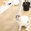 Automatic Cat Teaser Toy Hands-Free Play 7cm Ball Clamp Design 5-Minute Simple Style Auto Shutoff Cat Playing for Pets Ball Toy