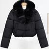 Winter new women's fashion big fur collar warm down cotton clothes short small cotton-padded coat