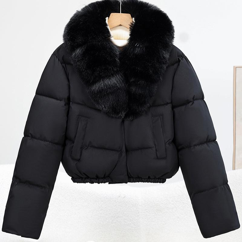 Winter new women's fashion big fur collar warm down cotton clothes short small cotton-padded coat