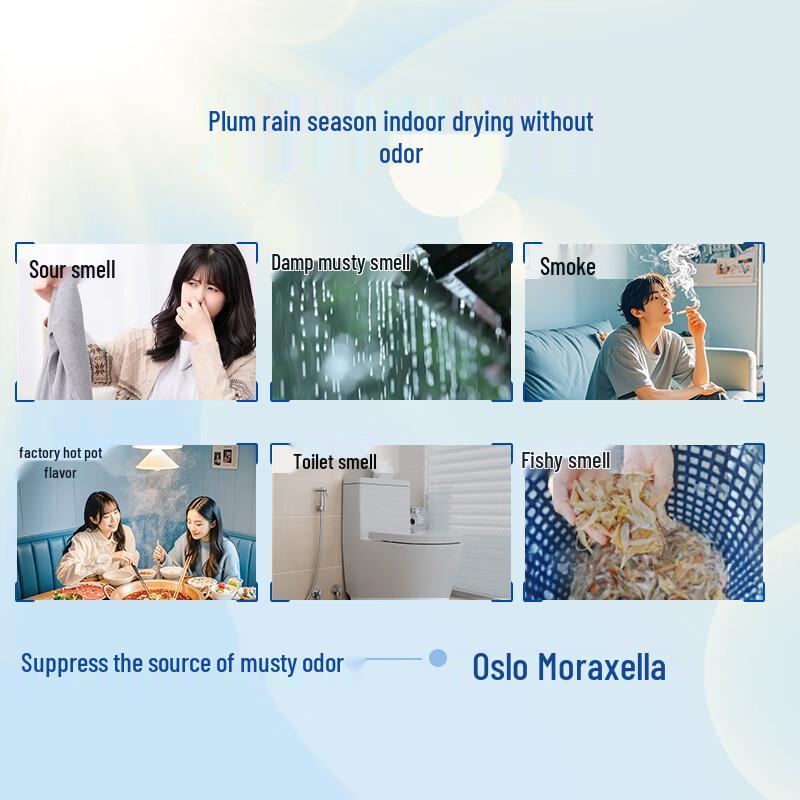 HomeAegis Sunshine Antibacterial Laundry Detergent