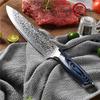 8 Inch Japanese Damascus Stainless Steel Chef Knife 67 Layers VG10 Steel Damascus Kitchen Chef Knife G10 Handle