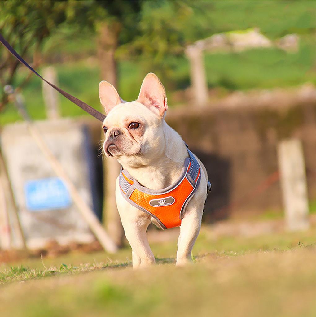Anti-Zug Hundegeschirr Reflektierendes Licht Atmungsaktives Oxford Mesh-Gewebe Hundegeschirr für Kleine Mittelgroße Haustierhunde Zubehör