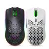 T66 Hole-Pattern 2.4G Wireless Mouse: Lightweight Honeycomb Design, RGB Lighting, 6 Buttons