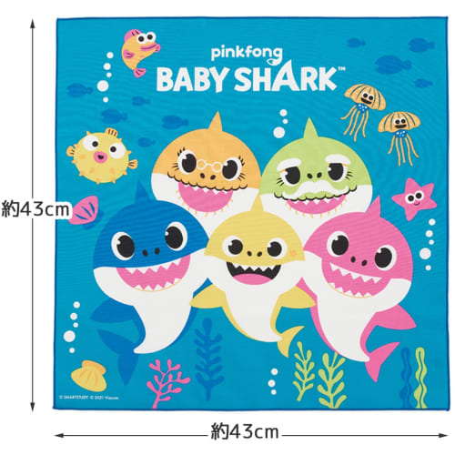 Skater Children's Lunch Box Lunch Cloth 43 X 43cm Kids Made In Japan Baby Shark Boys KB4