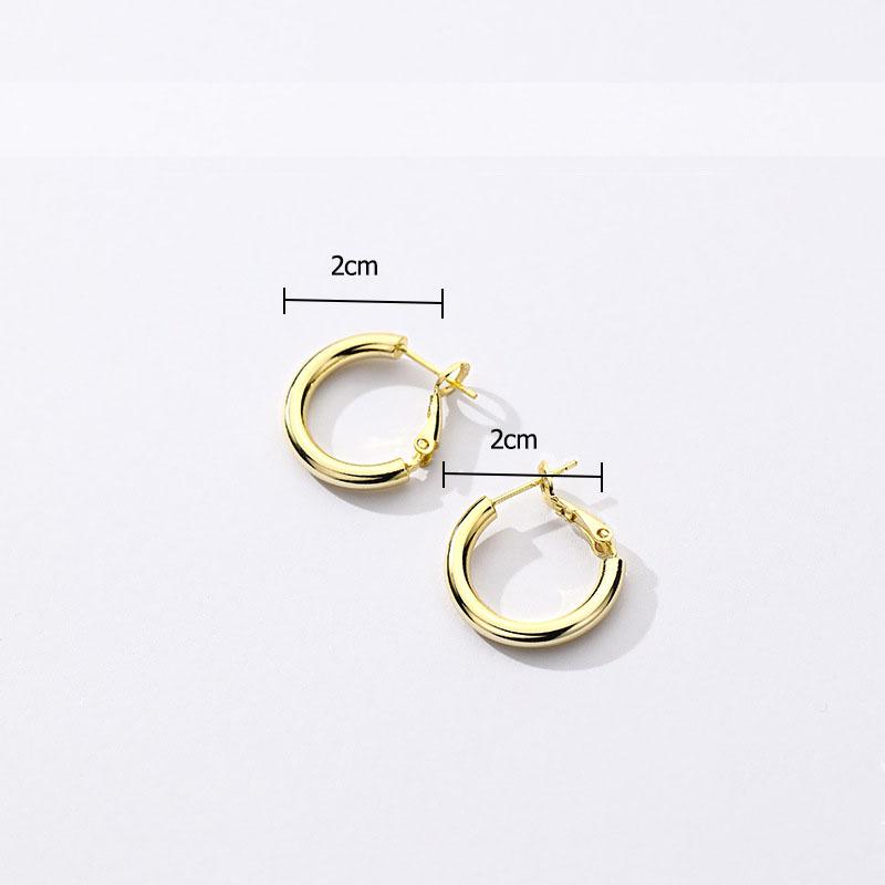 VENTFILLE 925 Sterling Copper Chunky Hoop Earrings for Women Geometric Circle Punk Ear Zircon Party Gifts 2023 New Dropshipping