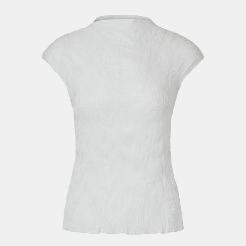 Pleats Me Sheer High Neck Pleated Sleeveless Eptsm126011