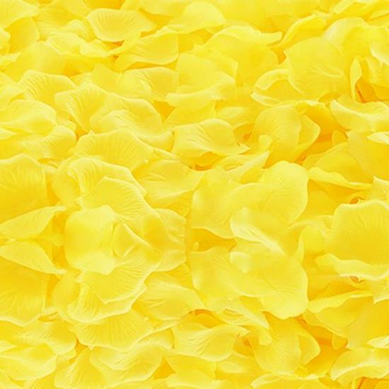 Rose Petal Decor for Weddings: Ceremony, Room, Proposal & More