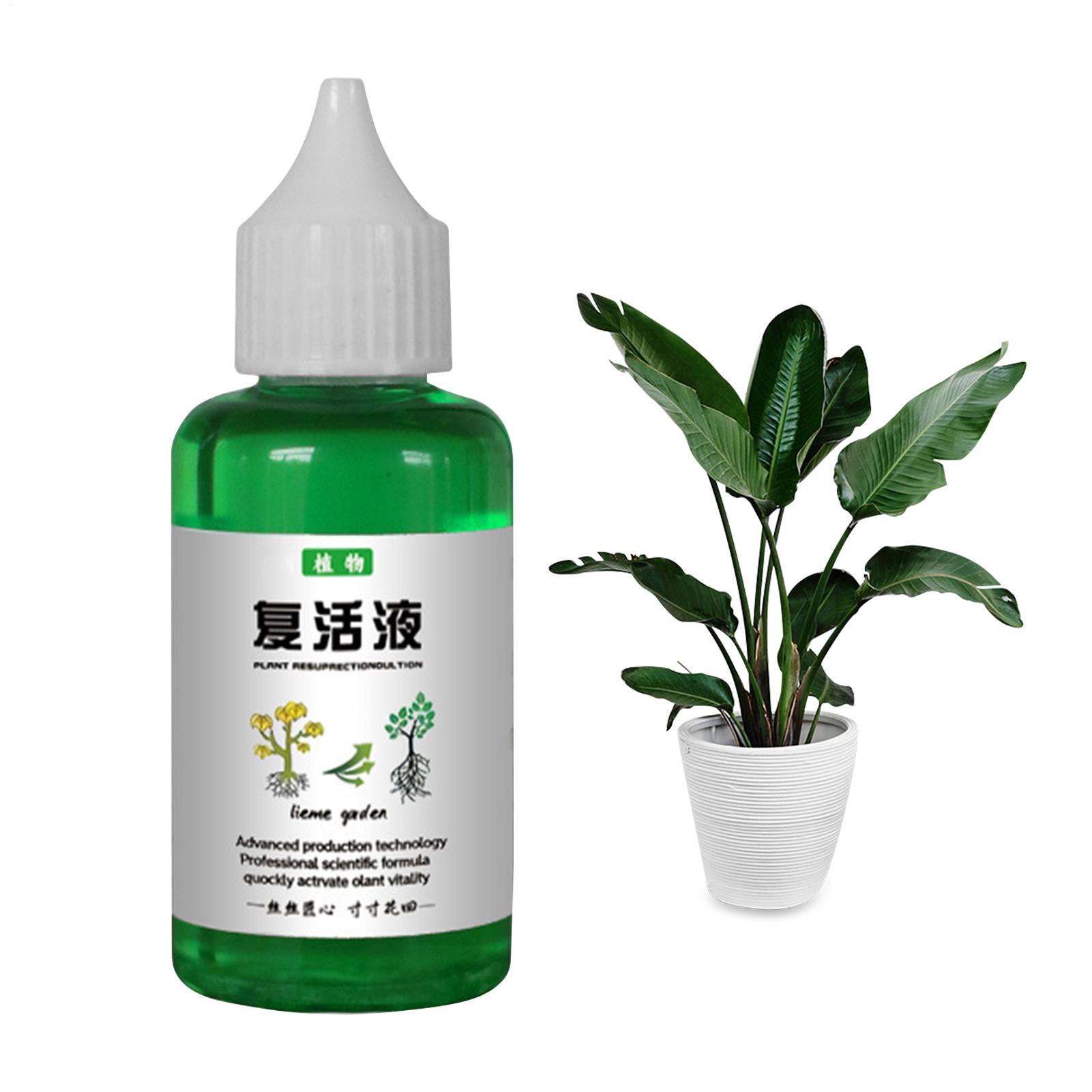 50ml Plant Resurrection Liquid Plant Nutrient Solution Flower Fruit Vegetable Fertilizing Liquid Promote Healthy And Strong Grow 50ML