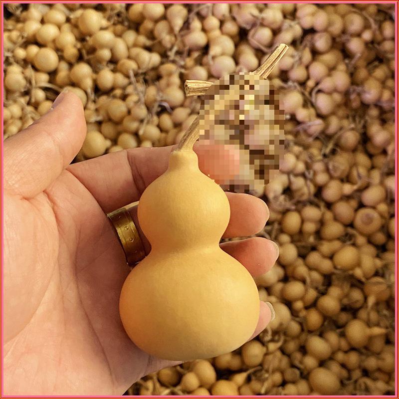 Dragon Head Mini Handheld Gourd Toy - Street Stall Cultural Plaything