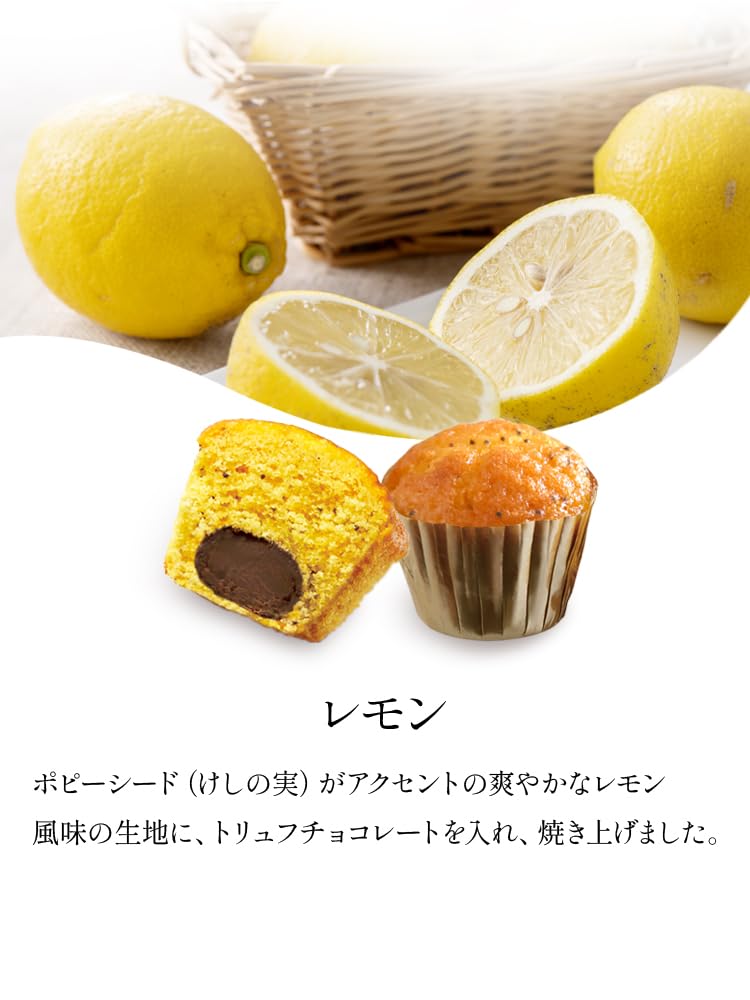 BOULMICH Mini Trüffelkuchenstücke gleiche Rückgabe Western 16 Stück (16 (Versandtag)) Halbjahresgeschenk, Halbjahresgeschenk, Geschenk, Geschenk, beliebt, Versandhandel,