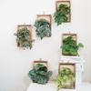 Wall Framed Artificial Plant Faux Greenery Plant In Frame Wall Decor Hanging