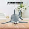Sea Fish Simulation Model Ornaments Desktop Decoration Children Educational Toy
