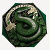 1PC Warner Slytherin Ambition Umbrella-8-Rib Reinforced, Automatic Open, Lightweight & Durable-A26