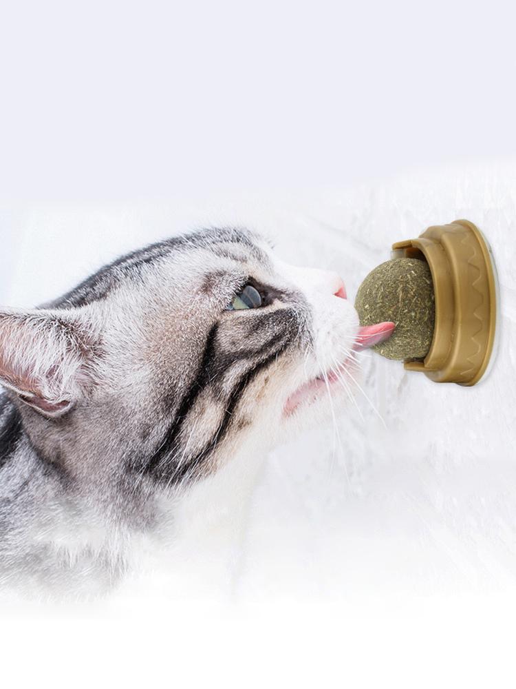 Healthy Catnip Snack Stick-on Molar Teeth Cat Catnip Ball Toys Removes Hair Balls Promote Digestion with Dust Cover Pet Supplies