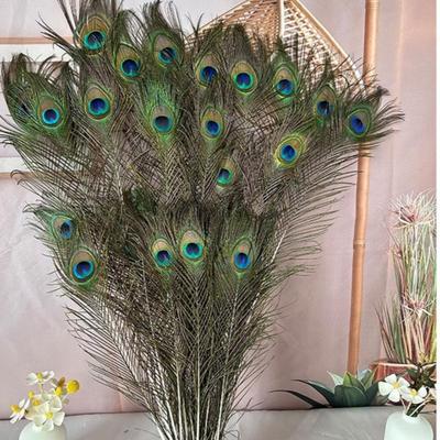 10 Piezas Plumas de Pavo Real Naturales con Ojo Decoración Artesanal