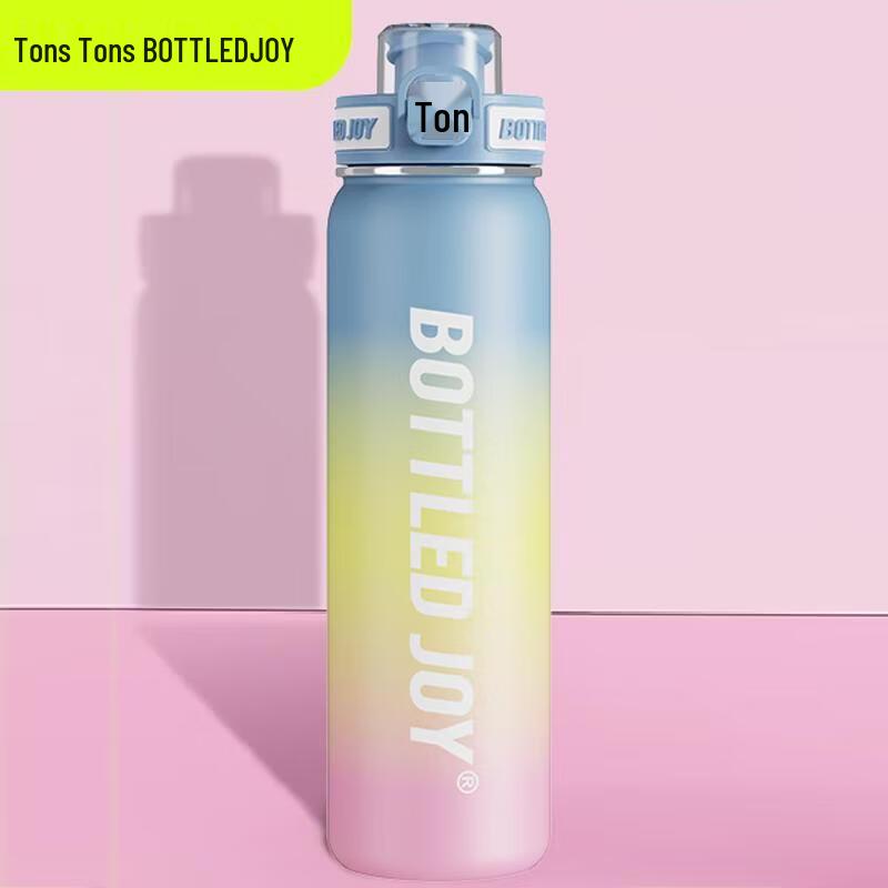 TonTon 316 Stainless Steel Gradient Insulated Tumbler