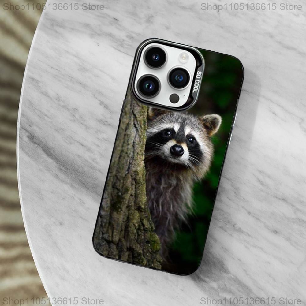 Raccoon Cute Animal Phone Case For iPhone 11,12,13,16,14,15,Mini,Pro,XS,MAX Black Matte Shockproof Cover
