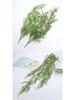 Artificial Greenery Wall Basket with Hanging Vines