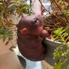 Resin Animal Figurine Planter Edge Climber Hippopotamus Otter Platypus Weatherproof Animal Statue for Flower Pots Fish Tanks Aquariums Outdoor