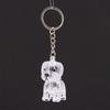 Cute Transparent Dog Hair Storage Cute Pendant Keychain Bag Pendant Couple Car Key Chains Jewelry Souvenir Collection Gift