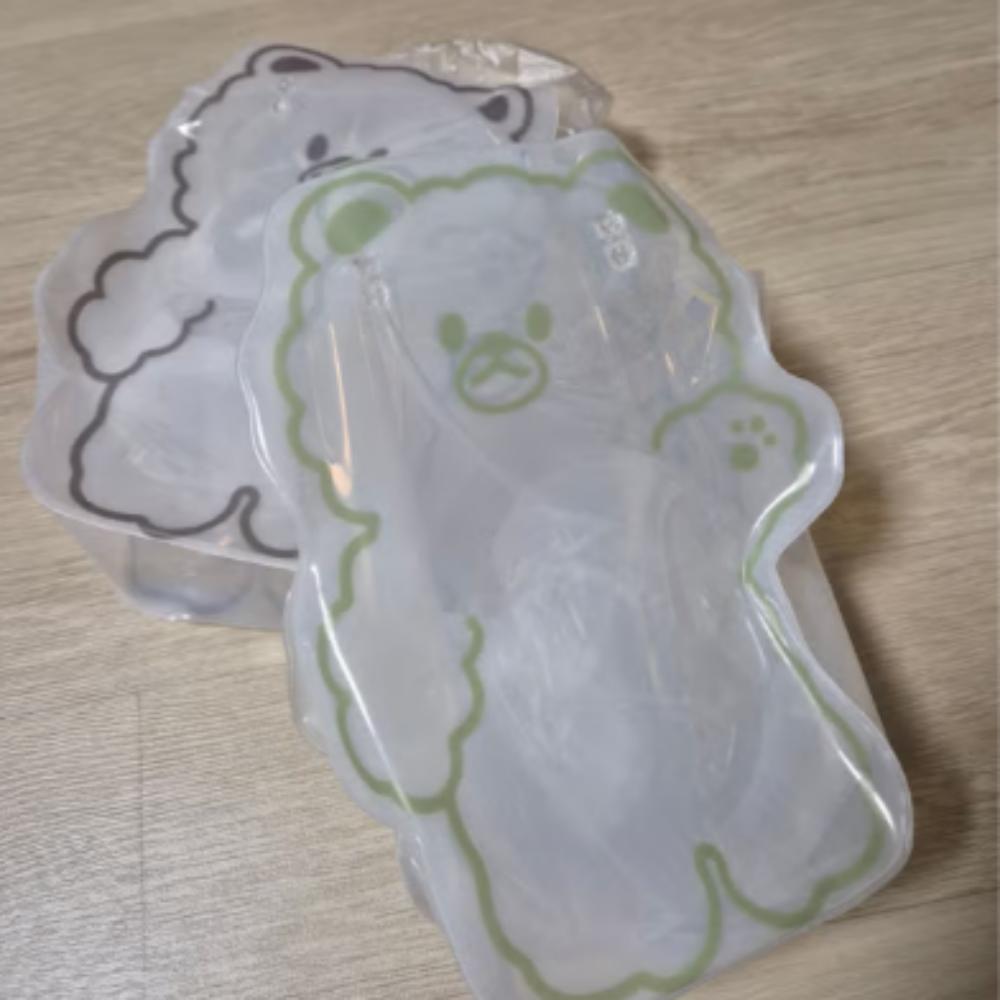 Teddy Bear Transparent Bag