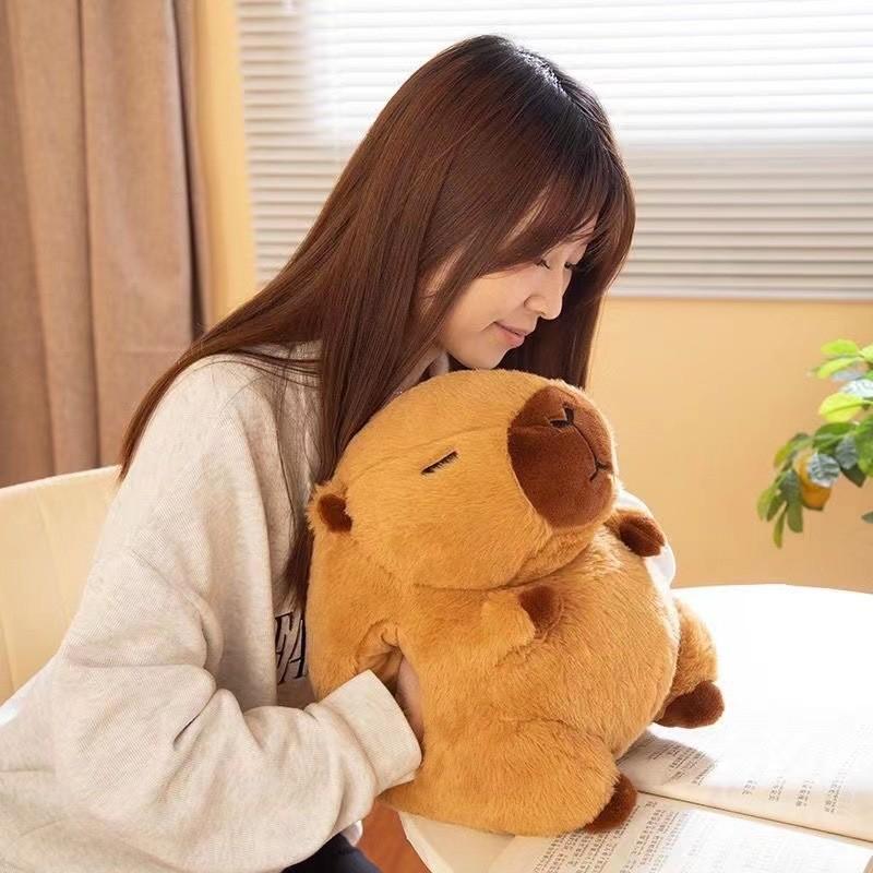 Warmer Winter Hand Pillow Capybara Plush Toy Cute Cartoon Girl Gift Birthday
