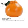 Sustainable Plastic Flower Vase Orange Shaped Vase, Decorative Hydroponics Creative Container, Small Hydroponic Pothos Container Pot for Living
