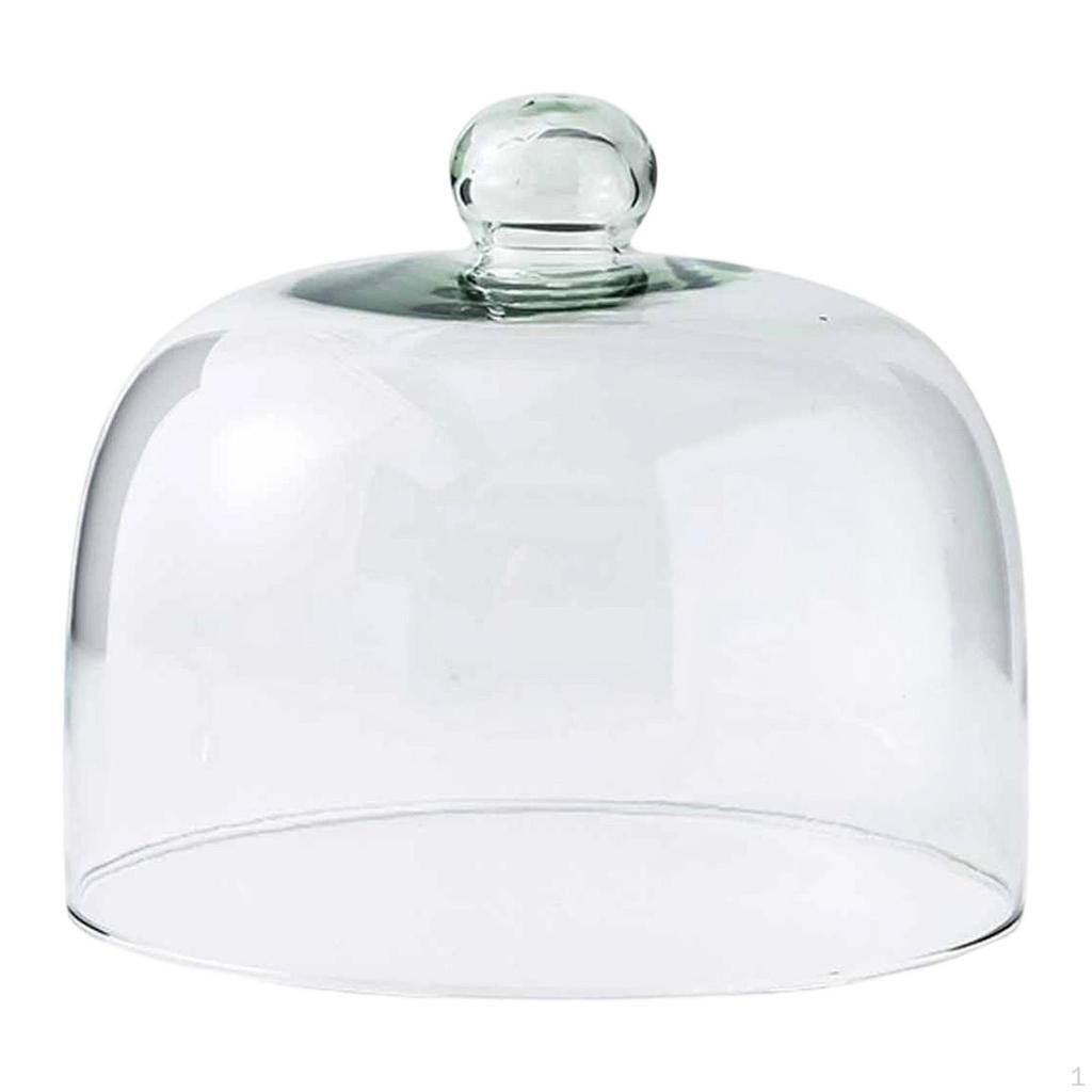 Cake Lid Display Cloche for Food Restaurants Home