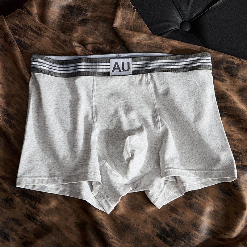 Plus Size Men's Spring and Summer Pure Cotton 10A Antibacterial Breathable Briefs