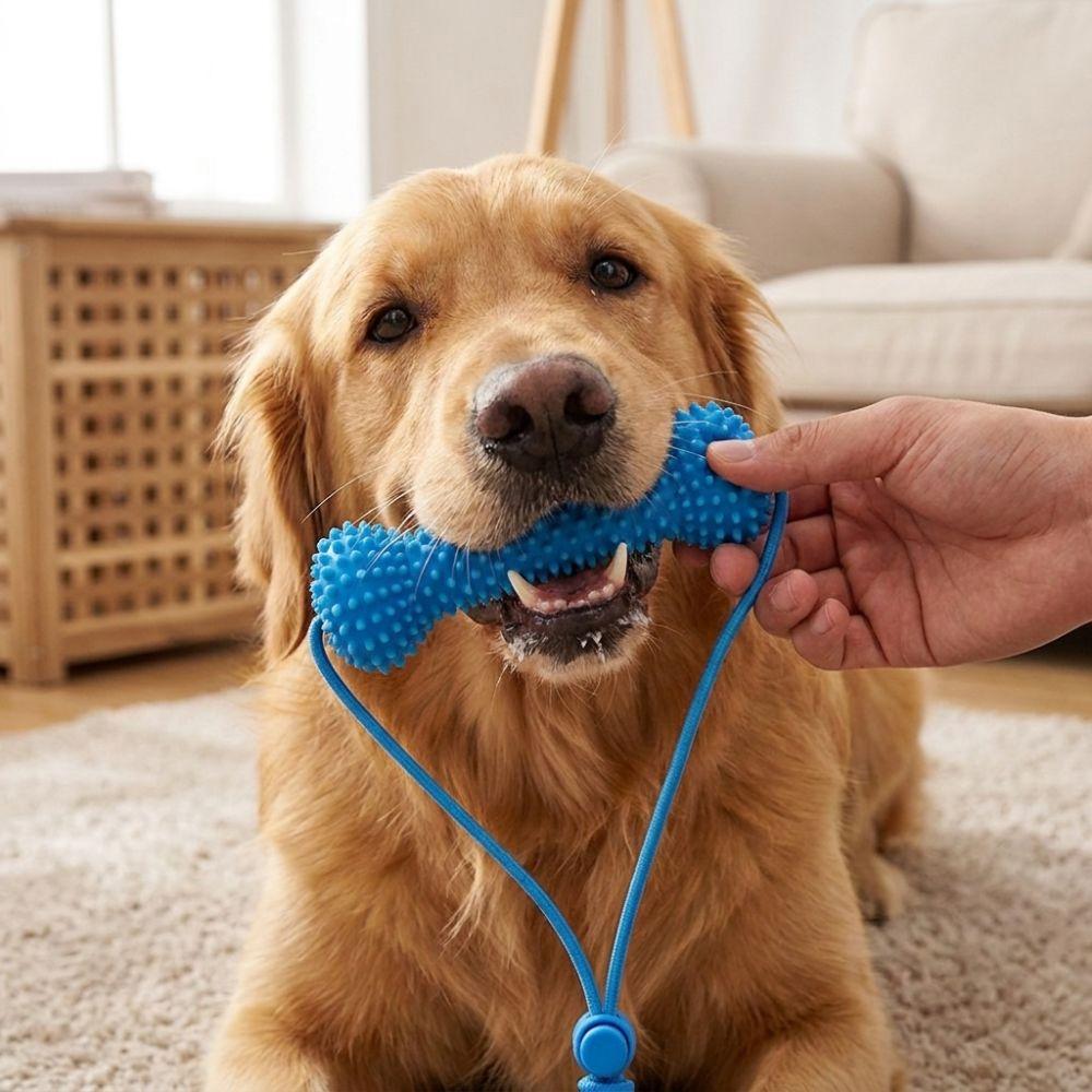 Anti-choking Pet Teeth Cleaning Toy Bite-Resistant Dog Chew Stick Teeth Cleaning