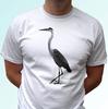 Na górę (chłopcy od 4 lat) – T-shirty i koszulki