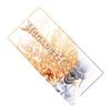 Megadeth Logo Number Plate Sign