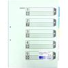 Kokuyo File Index Color Divider Card A3 2 Holes 5 Pile 10 Pairs Shiki-90