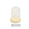 Miniature Lights Glass Cloche Warm Glow Tabletop Dome Modern Design Lighted Display Bell Jar for