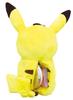 Pokemon Plush Pouch with Carabiner