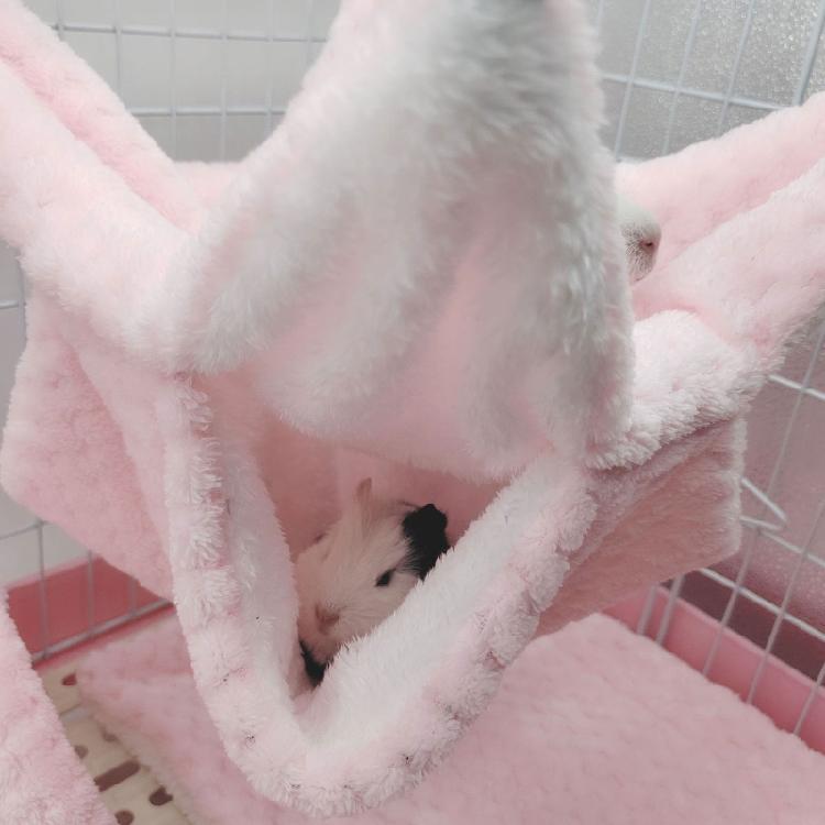 Hamster Hammock Cave Shed Small Pet Warm Hut Cage Tunnel for Guinea Pigs
