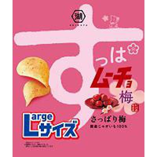 

Koikeya L size sour mucho refreshing plum 122g x 12 pieces