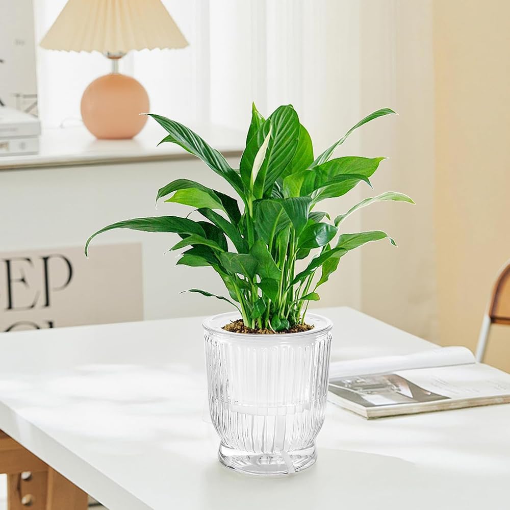 Phyxiul Automatic Water Supply Set of for Bottom Water Supply Flower with Water Supply for Outdoor and Indoor Potted Flower Gardening Transparent