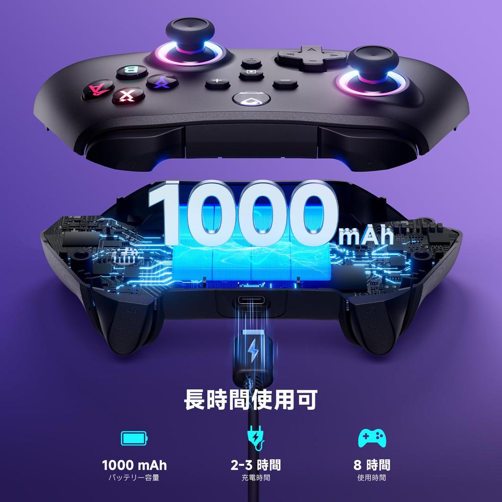 Switch RGB Turbo Rapid Back Vibration 1000mAh Pro Black Controller, Wireless/Wired, 6-Axis Gyro, Wireless, Lights, Fire, Buttons, 4-Level Adjustment,