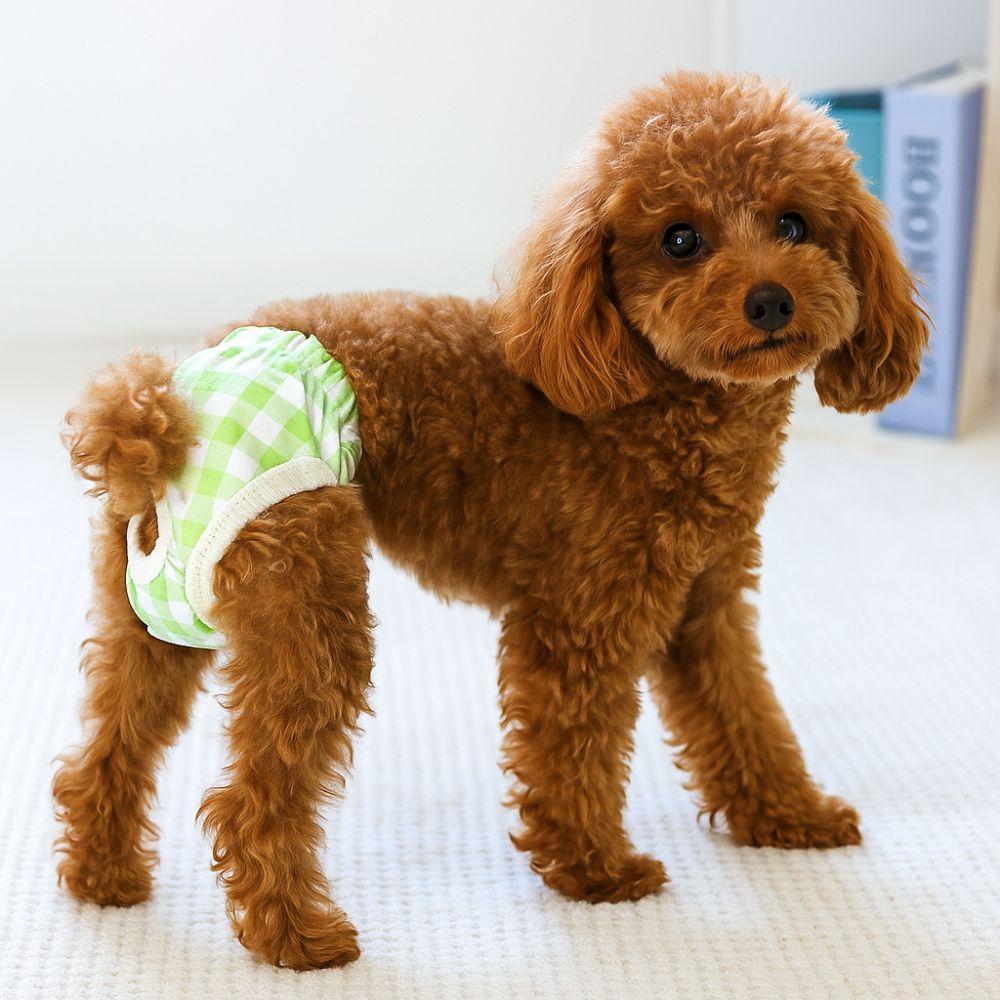 Breathable Dog Menstrual Pants Leakproof Puppy Sanitary Pants Dog Shorts Dog Diaper  Camp
