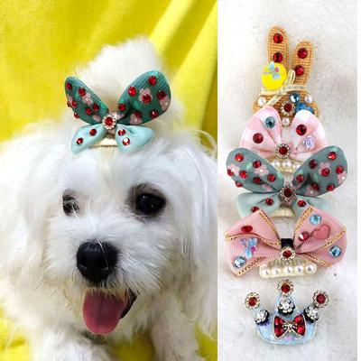 Abbigliamento e scarpe – Accessori per cani